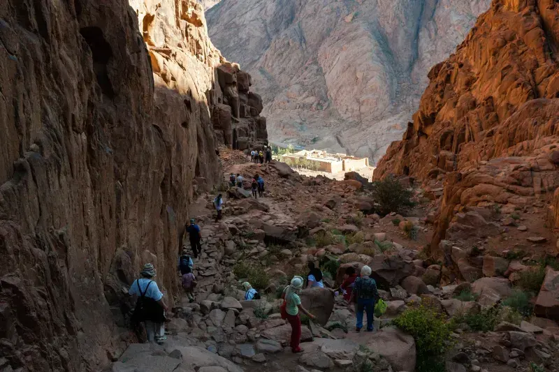 Monte sinai
