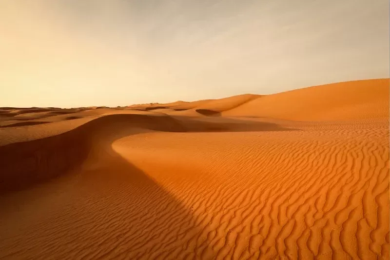 Wahiba Sands, Wahiba Sands