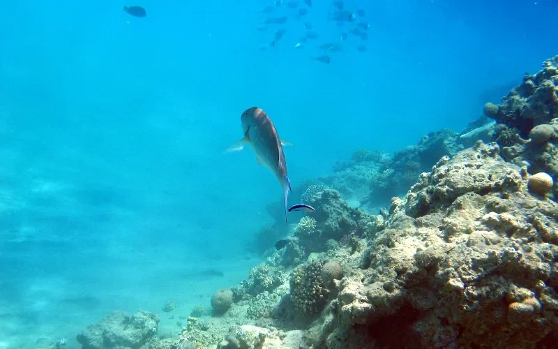 Sharm El Naga beach in Egypt