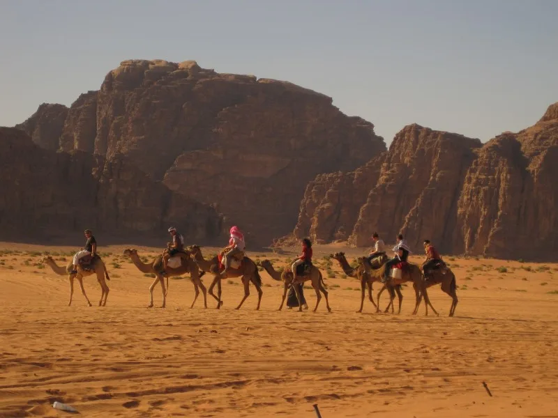 Camel Riding Trip in Sinai Desert Camel Riding Trip in Sinai Desert
