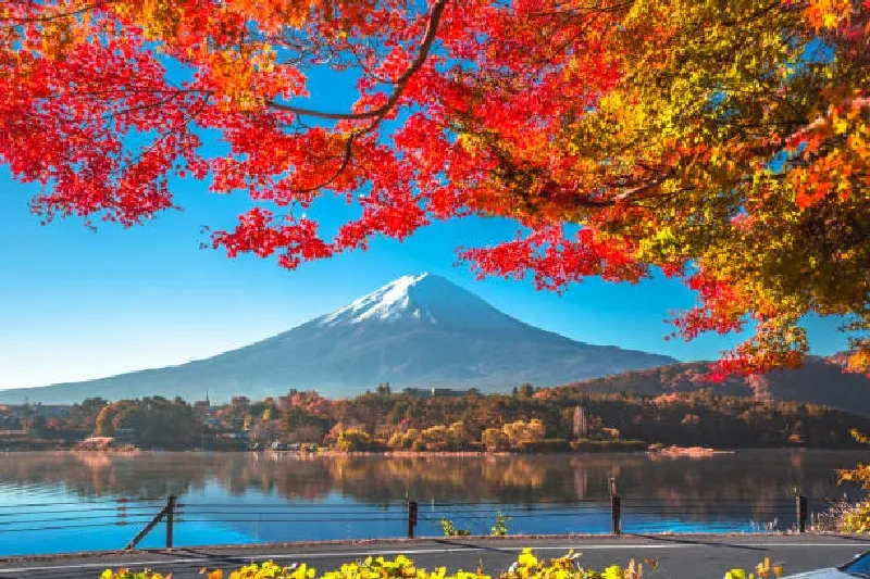 Japan, Berg Fuji, Herbst, Tokio