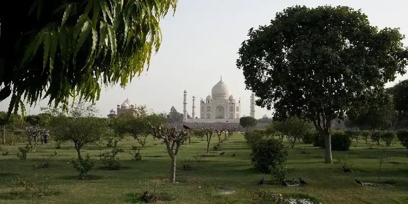 Vista a lo lejos del Taj Mahal desde el Mehtab bagh (jardín a la luz de la luna) en Agra.