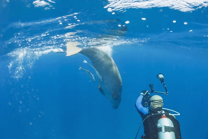 Circuit Égypte 1 Semaine