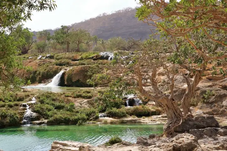 Aththawarah Spring Oman | Althawarah Hot Spring | Althawarah Spring