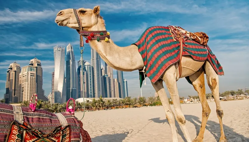 Viaje a Egipto y Dubai en Navidad