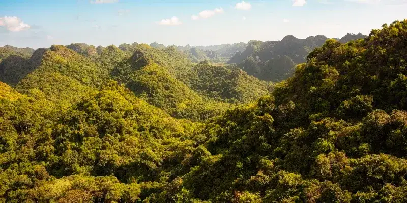 Isla de Cat Ba en Vietnam. Montañas verdes con selva tropical.