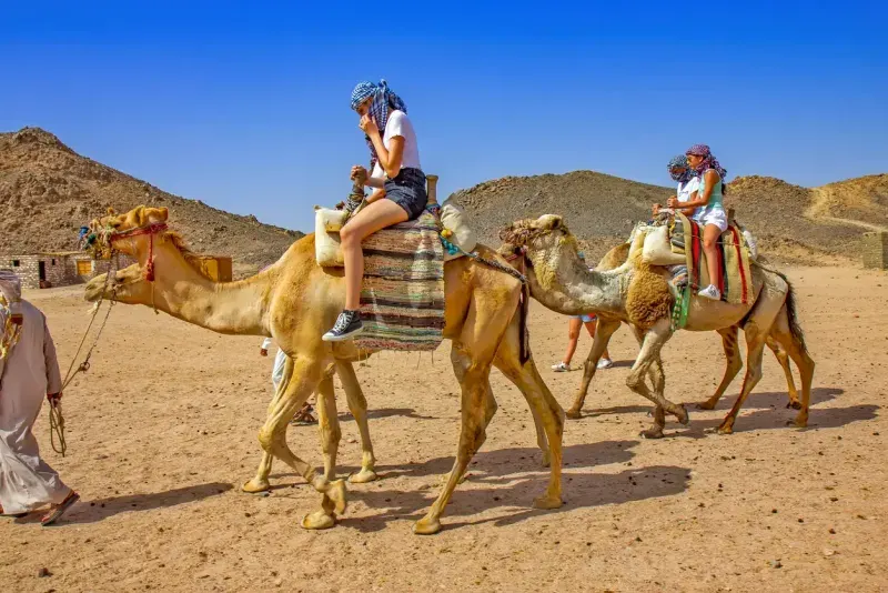 Passeio de quadriciclo e camelo no Deserto