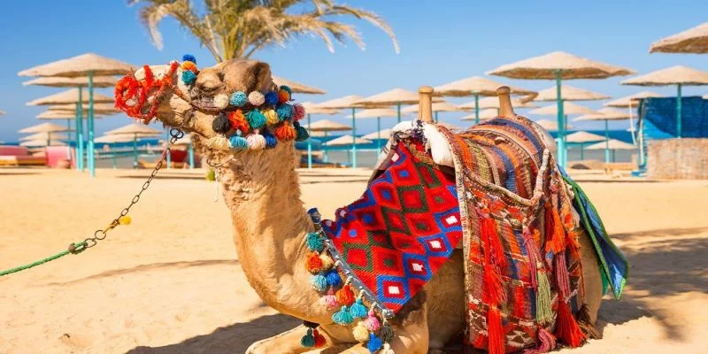 Kultur- und Badereise in Ägypten über Ostern