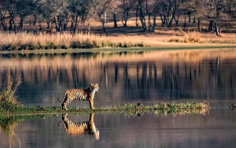 parco nazionale di ranthambore