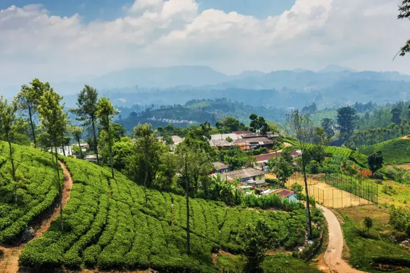 Sri Lanka