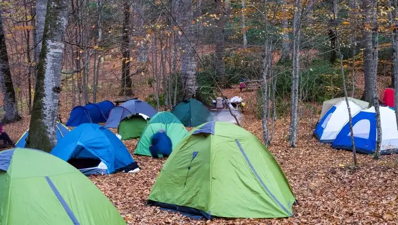 Camping in the forest of Bolu in Turkey