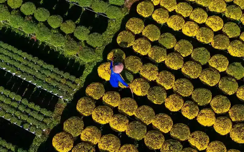 Ben Tre, Delta del Mekong