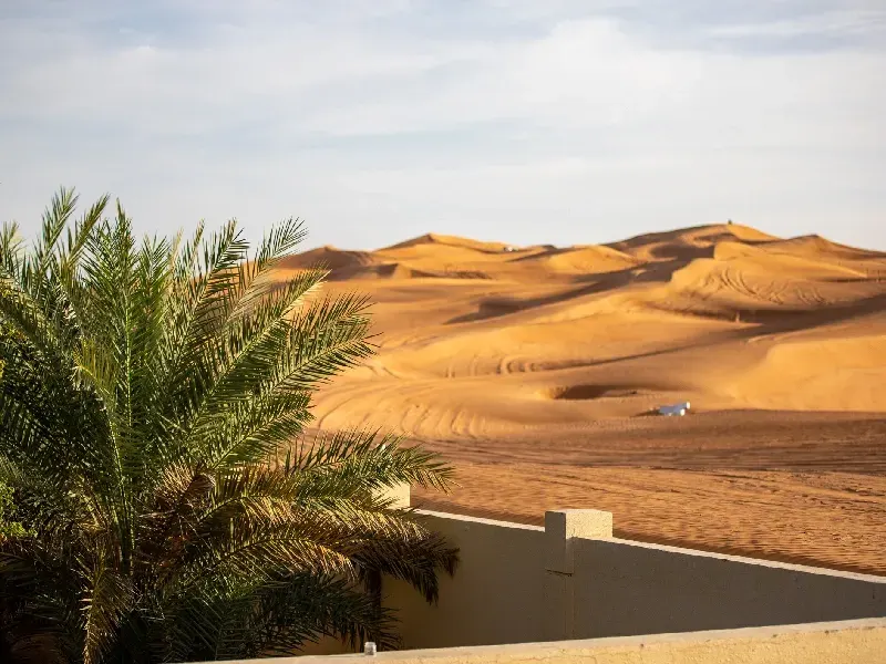 Rub al-Jali: Guía Completa del Desierto del Cuarto Vacío