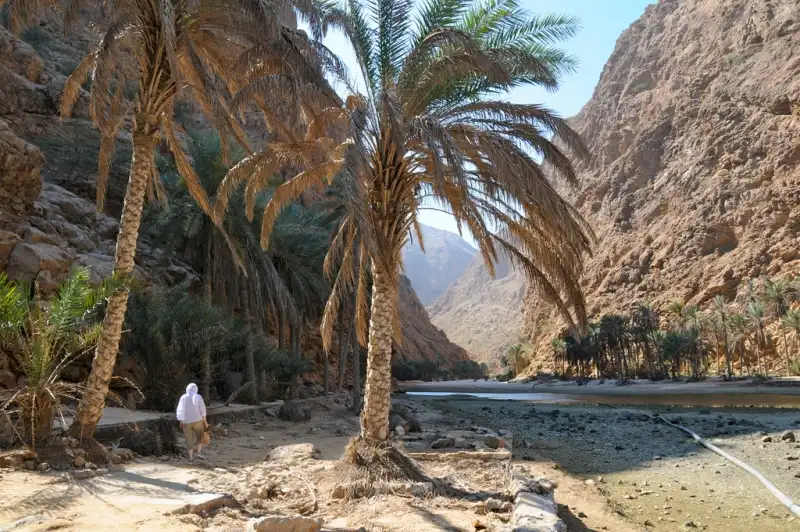 Wadi Shap