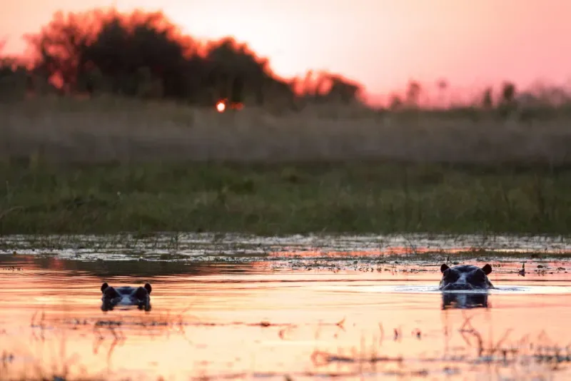 Luxury Guided Tour of Victoria Falls & Chobe