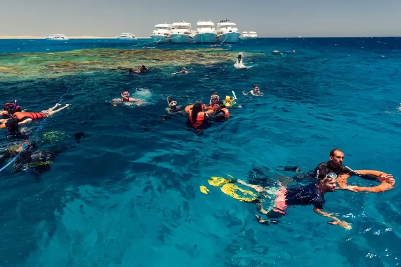 Snorkeling na Ilha de Mahmeya 