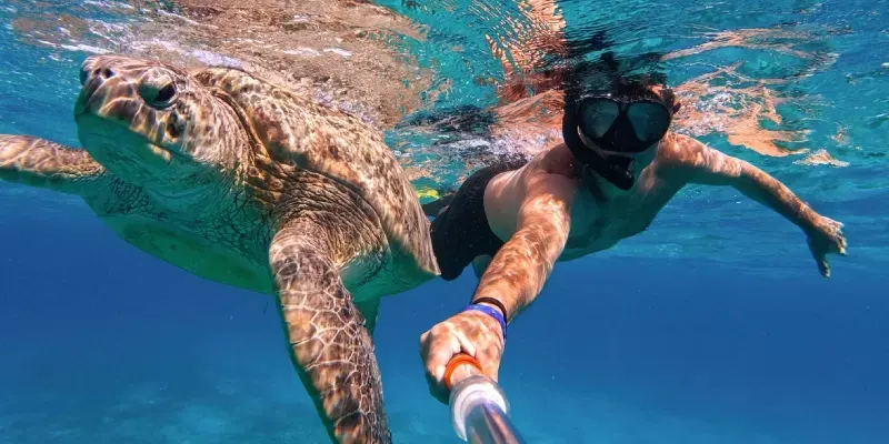 Snorkel en el Mar Rojo