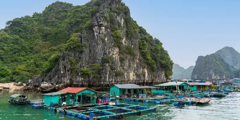 El pueplo flotante Cai Beo en La Bahía de Lan Ha, Vietnam.