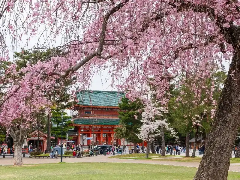 Santuario Heian (Heian Jingū): Historia, Jardines y Consejos
