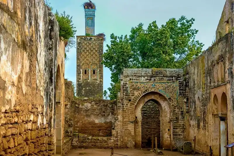 detalhes-em-mosaico-do-minarete-e-portao-medieval-de-chellah