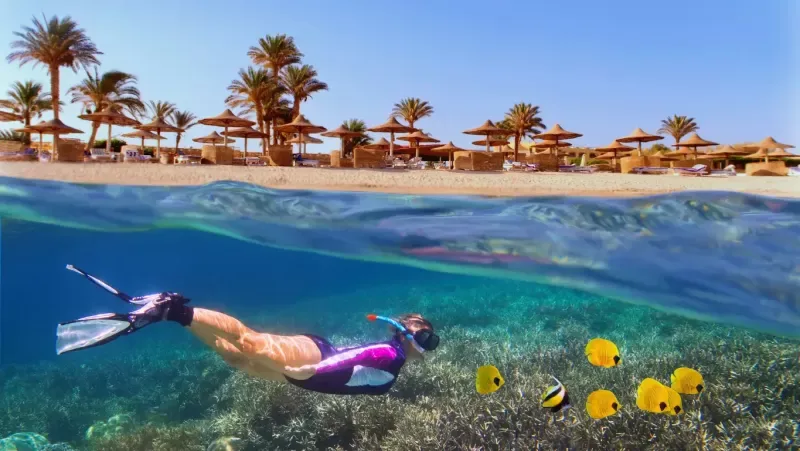 Snorkeling na lha de Tiran em Sharm el Sheikh