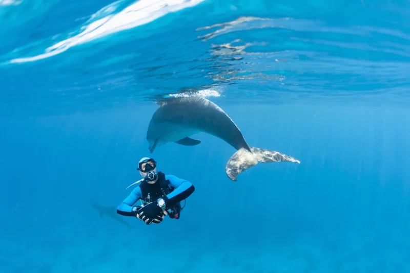 Scuba diving Hurghada 