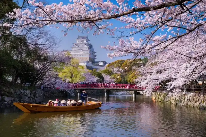 passeio-de-barco-tradicional-proximo-ao-castelo-de-himeji-cercado-por-cerejeiras-floridas