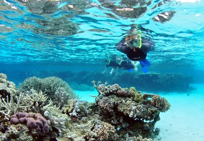Snorkeling at Mahmya Island - Hurghada Snorkeling at Mahmya Island - Hurghada