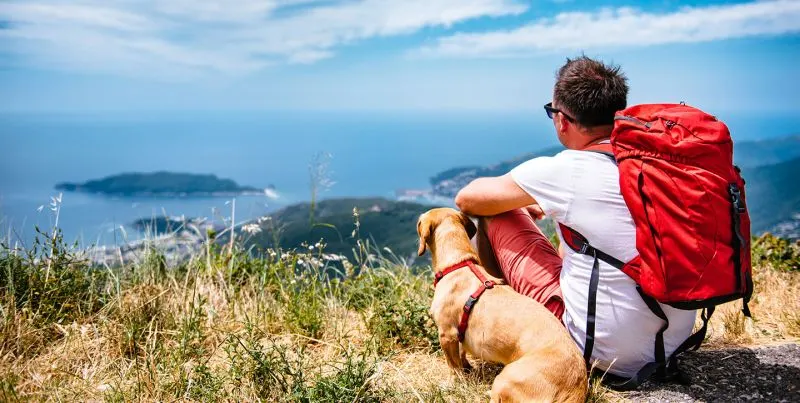 10 Great Pet-friendly Vacations