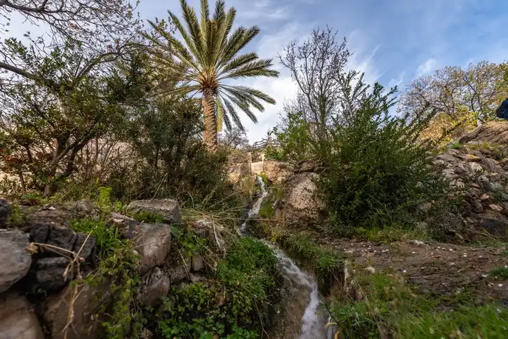 AlKasfah Spring | Alkasfah Spring Oman | Hot Water Springs Oman