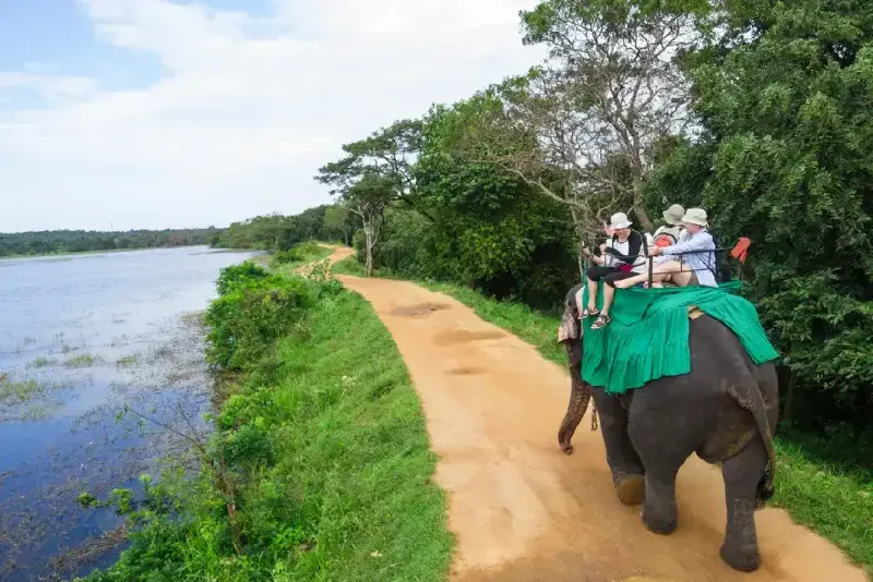 turistas-montando-en-elefante-paseo-junto-al-lago-cerca-del-bosque-en-habarana-sri-lanka