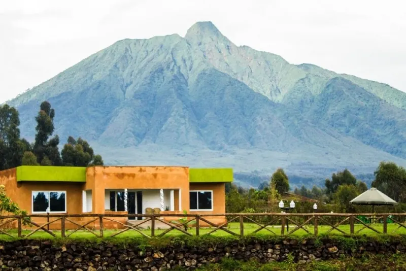Mountain Gorilla View Lodge