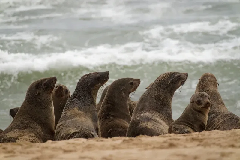 7-Day Namibia Tour: Fly-in Desert & Wildlife