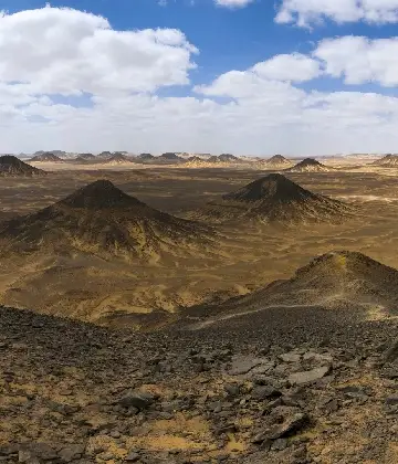 White Desert with Bahariya Oasis Adventure 