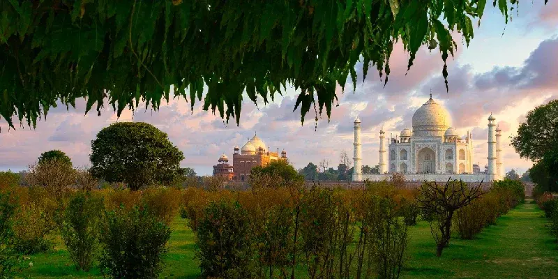 Vista panorámica del Taj Mahal al atardecer con cielo rosado desde los jardines de Mehtab Bagh.