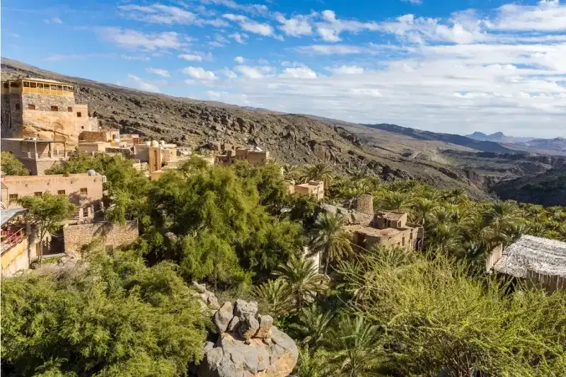 Oasi di palme da dattero e sorgente d’acqua nel villaggio di Misfat al Abriyyin, Monti Hajar, Oman.