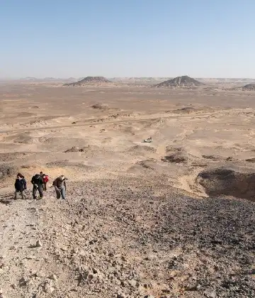 White Desert with Bahariya Oasis Adventure 
