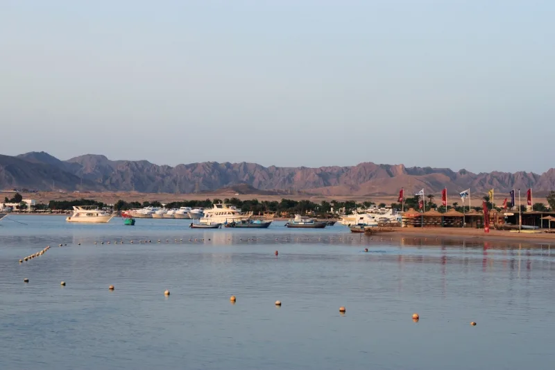 safaga port