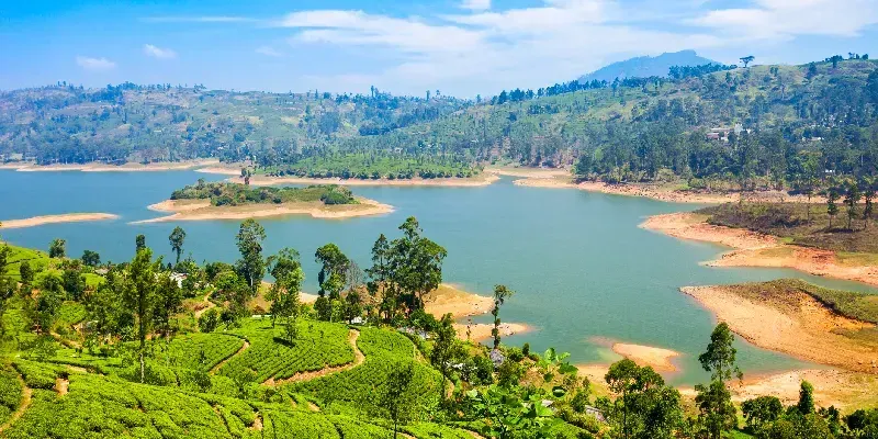Plantación de té y lago de la presa Maskeliya o embalse Maussakelle cerca de Nuwara Eliya, Sri Lanka.