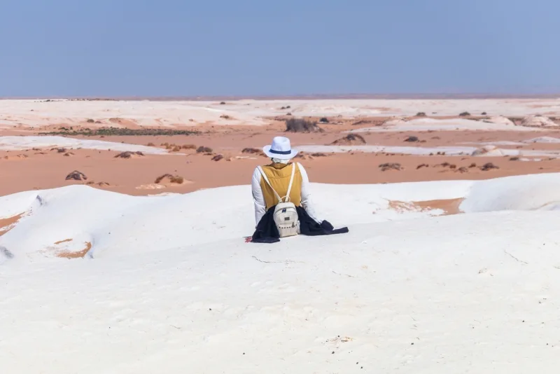 Encantos do Egito: Pirâmides, Nilo e Oásis Mágicos