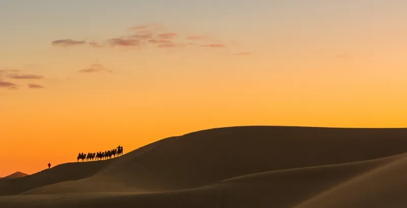 Paseo en camello, desierto tunecino.