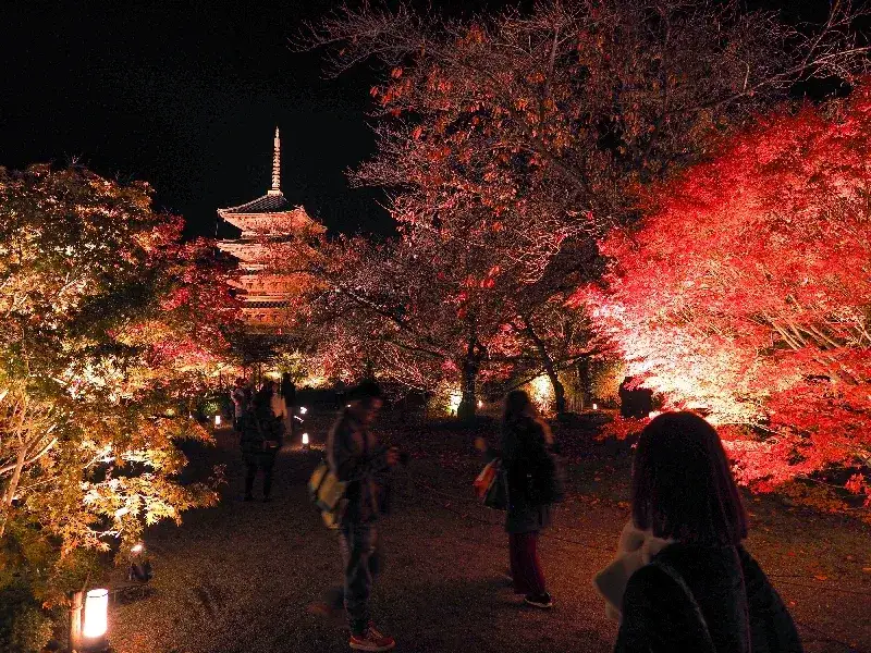 Templo Toji en Kioto: La Pagoda Más Alta de Japón