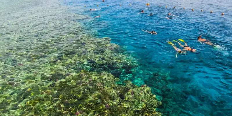 Parque Nacional Ras Mohamed