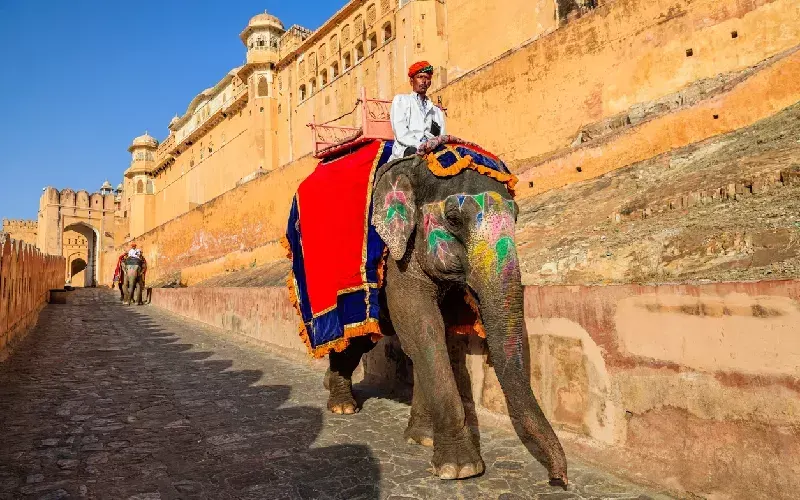 India del nord cosa vedere 