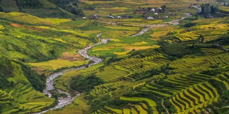 Terrazas de arroz en el norte de Vietnam, donde vive la minoría étnica Hmong.