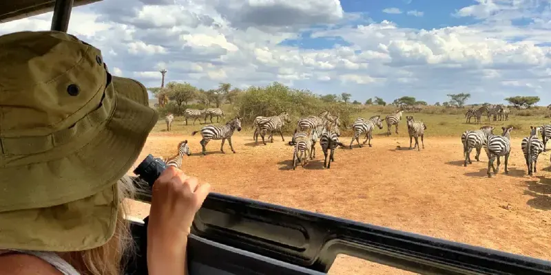 Woman enjoying a safari ride in a jeep at Serengeti National Park.