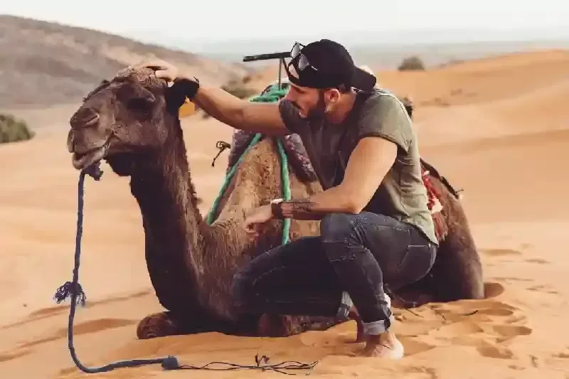 Wahiba Sands, Wahiba Sands