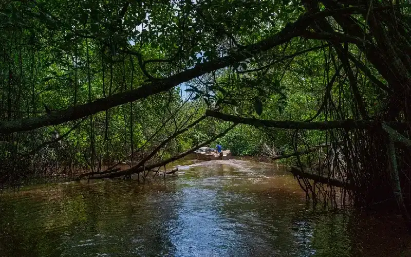Bentota