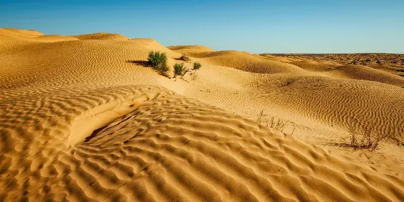 El Gran Erg Oriental es un gran erg o 