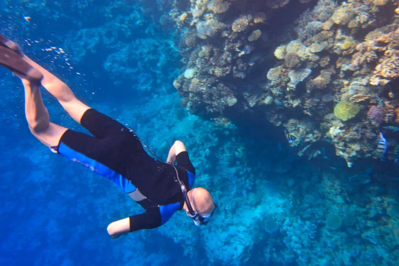 Snorkeling at Red Sea Snorkeling at Red Sea
